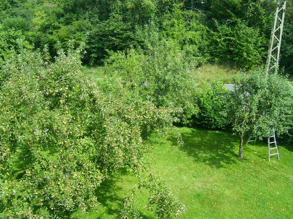 Ferienwohnung Leichlingen Room photo